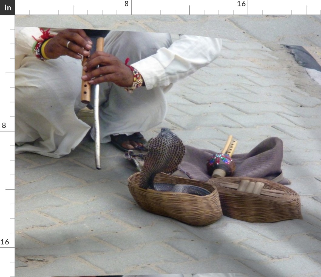 Snake Charmer in Rajasthan