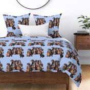 dachshunds_in_blue