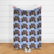 dachshunds_in_blue