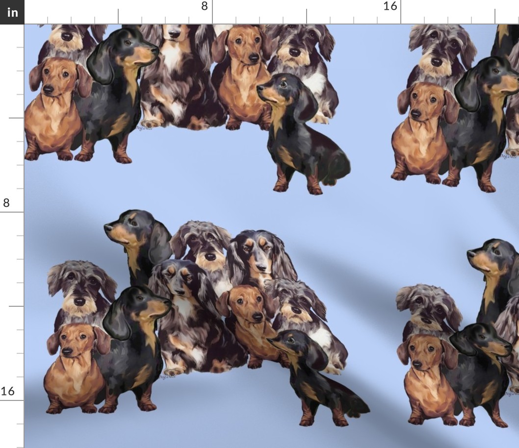 dachshunds_in_blue