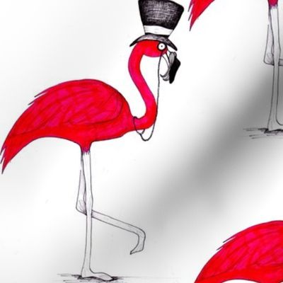 Mr Flamingo