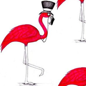 Mr Flamingo