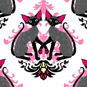 Devon Rex Cat Damask Hot Pink