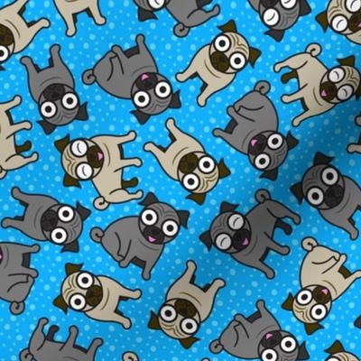 Pug-a-Dot (Blue)