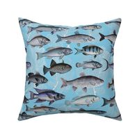 Vintage Fish with gold  Aqua see blue 