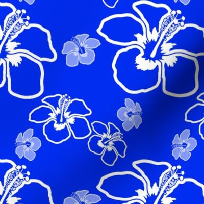 Blue And White Hibiscus Flowers
