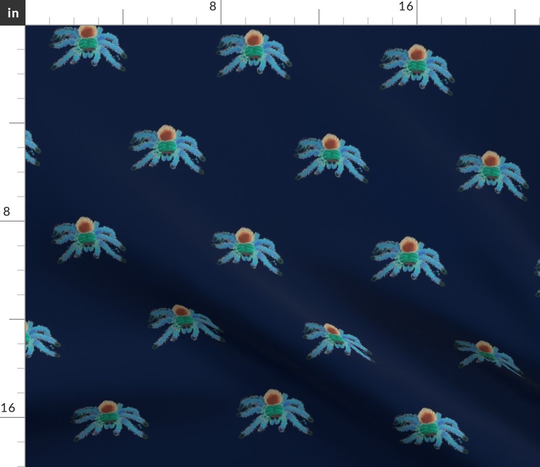 Greenbottle blue tarantula (organized)