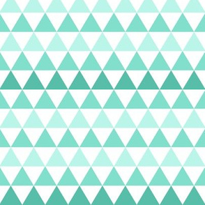 Ombre Triangle Mint SMALL scale