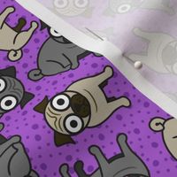 Pug-a-Dot (Purple)