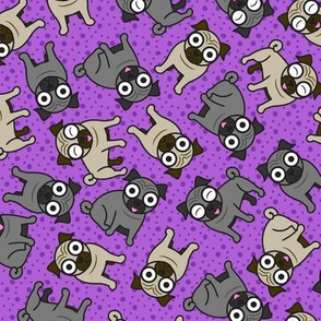 Pug-a-Dot (Purple)