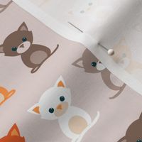 Cats on grey