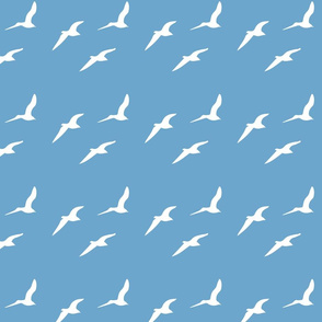 Seagulls Pattern