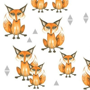 Foxes and Triangles