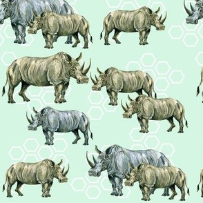 Rhinos and Hexagons