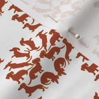 Doxie Damask on white