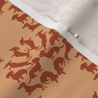 Doxie Damask on tan