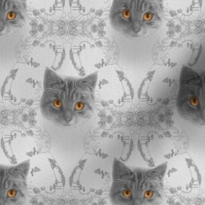 Mysterious Eyes Cat Damask