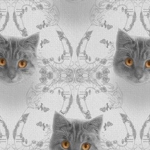 Mysterious Eyes Cat Damask