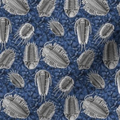 trilobites blue