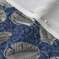 trilobites blue