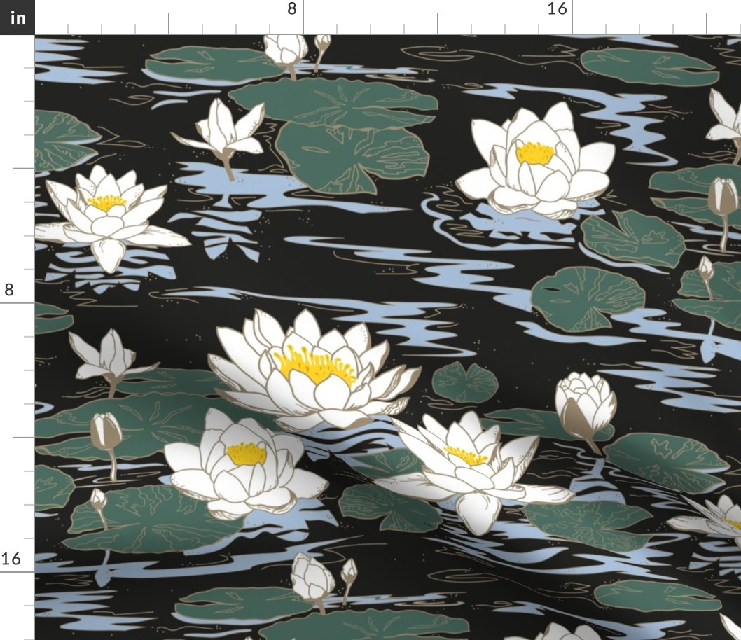 water lilies on black