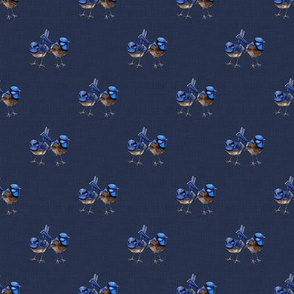 Two Blue Wrens on Denim