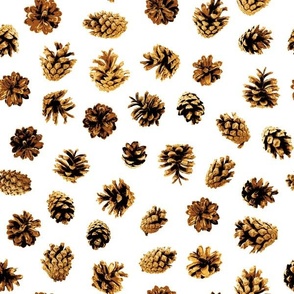 pine cones - Christmascolors browns on white