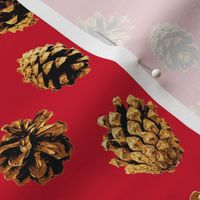 pine cones on Christmascolors red