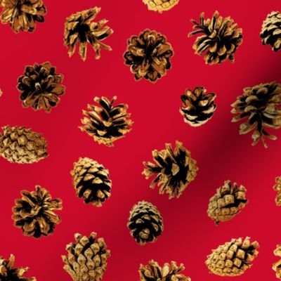 pine cones on Christmascolors red