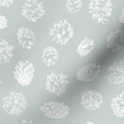 pine cones on ice grey