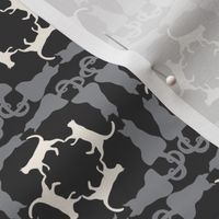 Cat Square Dance grey_black_creme_a