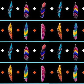 Anasazi Feathers