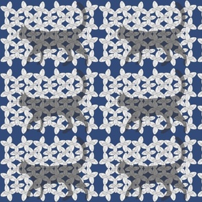 Catmint Lace blue