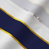 Puttin' on the Ritz Stripe in Navy and Gilt