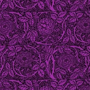 Royal Purple Roses Darkest