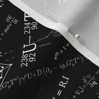 Equations (black)