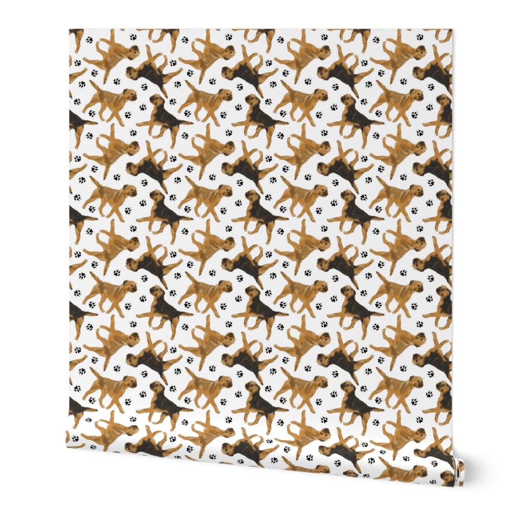 Trotting Border Terriers and paw prints - white