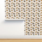 Trotting Border Terriers and paw prints - white