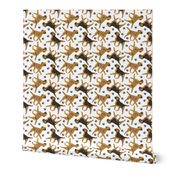 Trotting Border Terriers and paw prints - white
