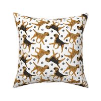 Trotting Border Terriers and paw prints - white