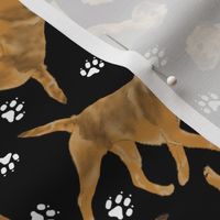 Trotting Border Terriers and paw prints - black