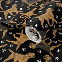 Trotting Border Terriers and paw prints - black