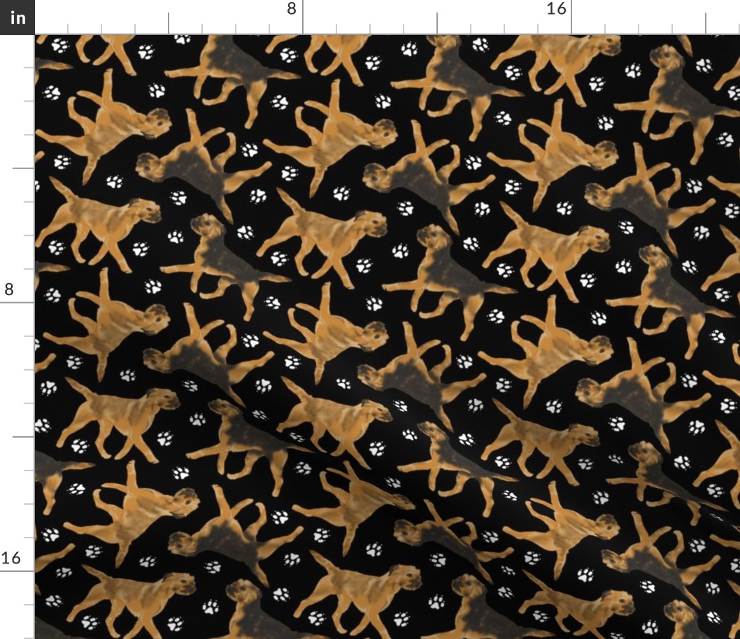 Trotting Border Terriers and paw prints - black