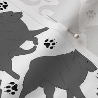 Trotting Schipperke and paw prints - white