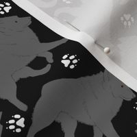 Trotting Schipperke and paw prints - black
