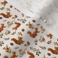 Squirrel Scattered on Vanilla, mini