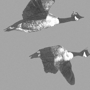 flying_geese_snowstorm_gray