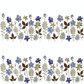 blue flower border