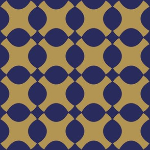 Lattice Navy