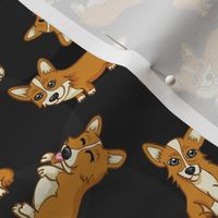 Corgis! (Black)